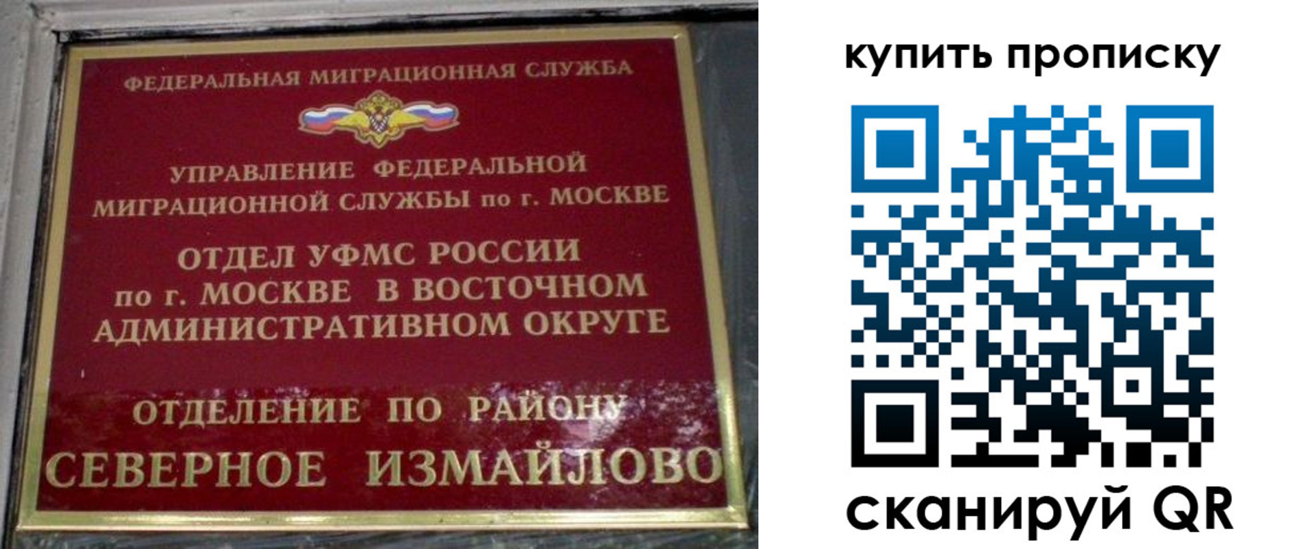 прописка в квартире в Пскове